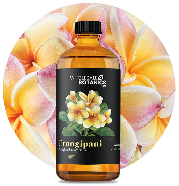 Frangipani Oil