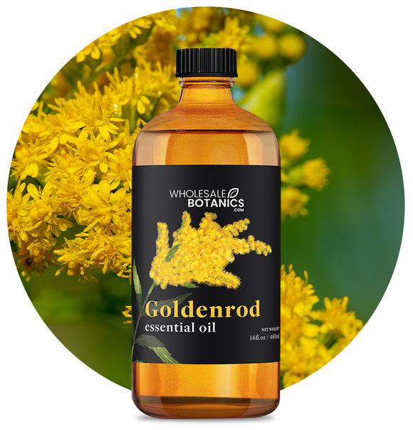 Goldenrod Essential Oil