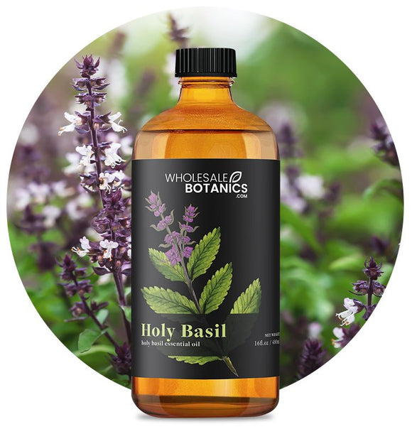 Holy Basil Essential Oil