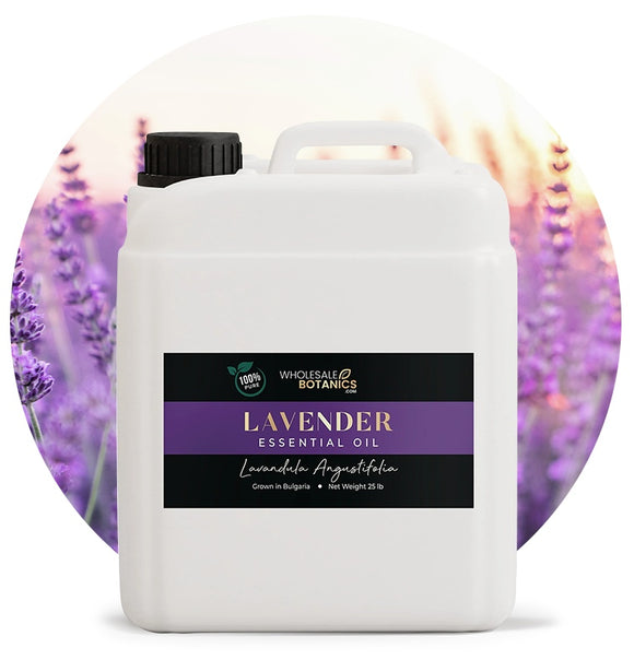 Lavandula Angustifolia Oil