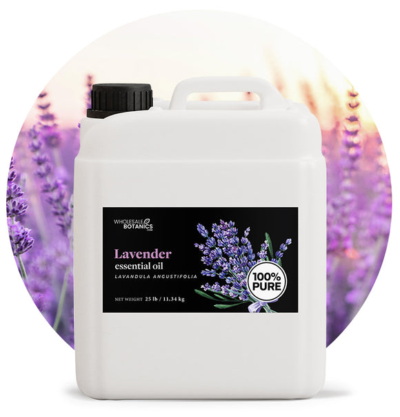 Lavandula Angustifolia Oil