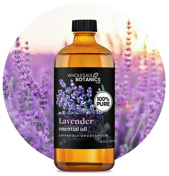 Lavandula Angustifolia Oil