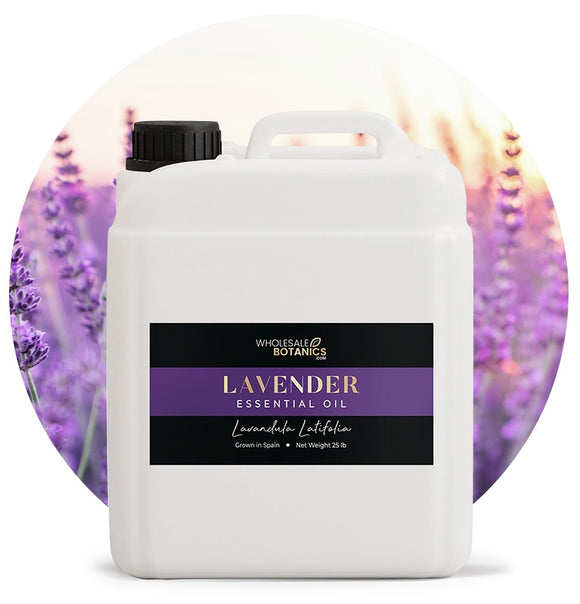Lavandula Latifolia Oil