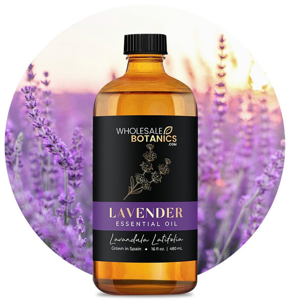 Lavandula Latifolia Oil