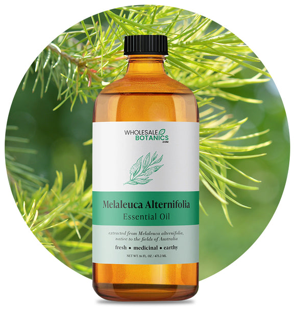 Melaleuca Alternifolia Essential Oil