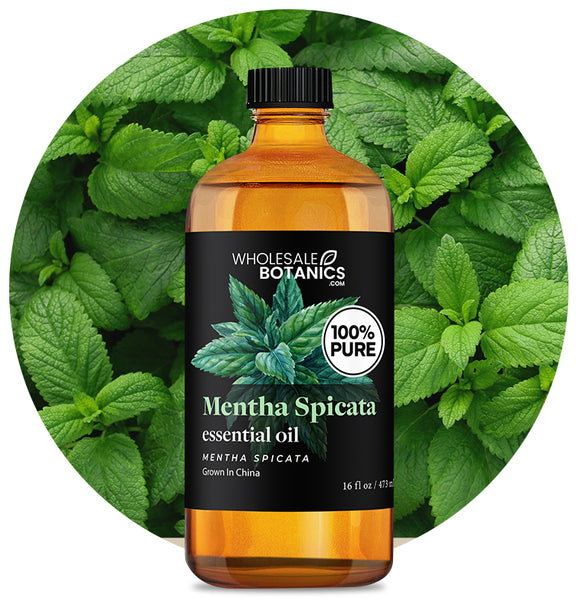 Mentha Spicata Essential Oil
