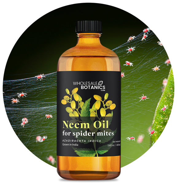Neem Oil