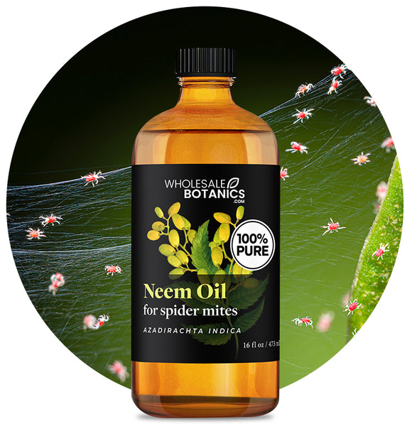 Neem Oil for Spider Mites