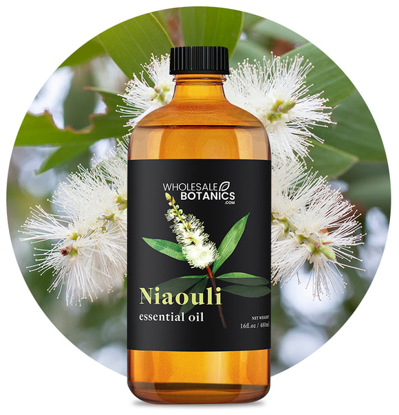 Niaouli Essential Oil