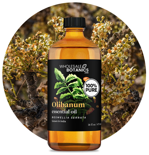 Olibanum Oil