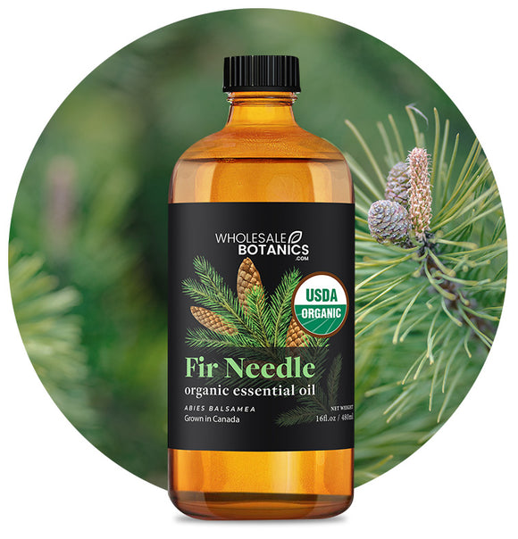 Organic Fir Needle Essential Oil