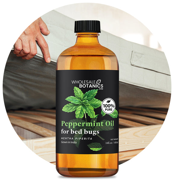 Peppermint Oil for Bed Bugs