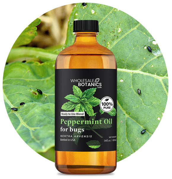 Peppermint Oil for Bugs (Ready to Use Blend)