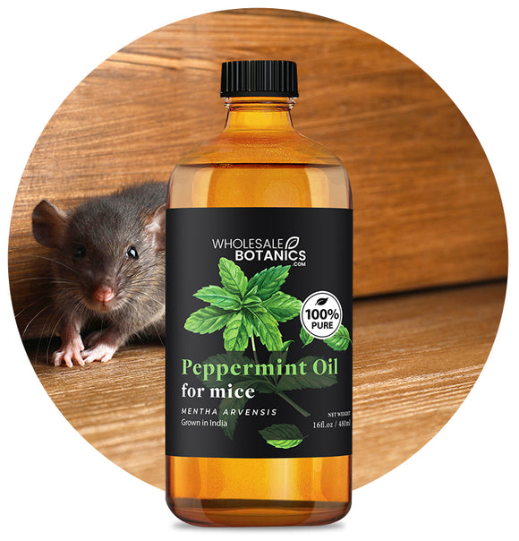 Peppermint Oil for Mice