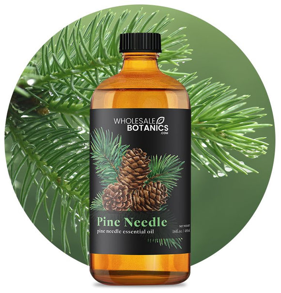 Pine Needle Essential Oil