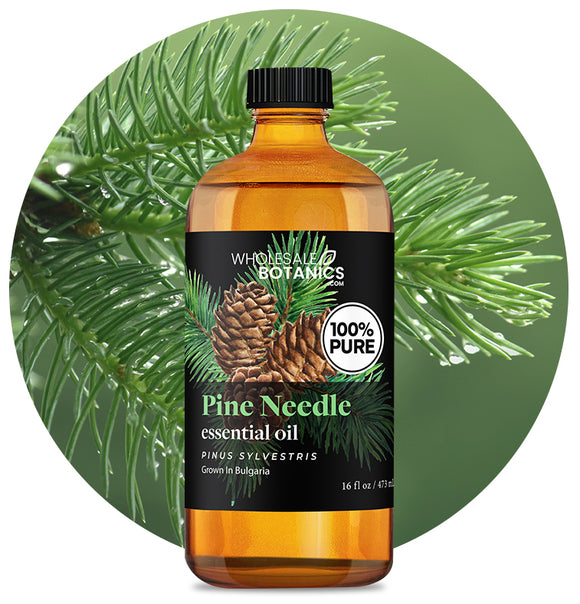 Pine Needle Oil