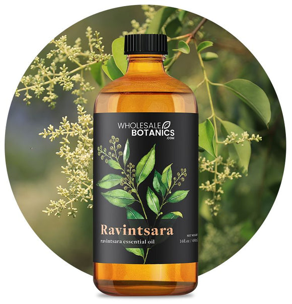 Ravintsara Essential Oil