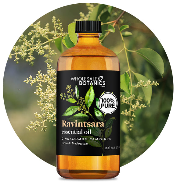 Ravintsara Oil