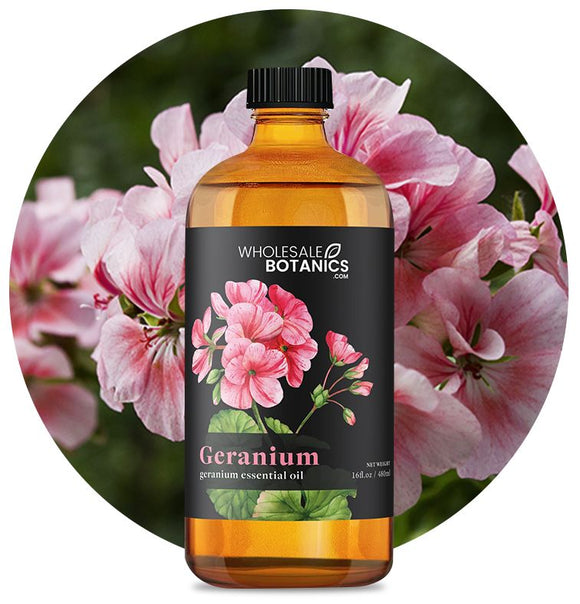 Rose Geranium Essential Oil