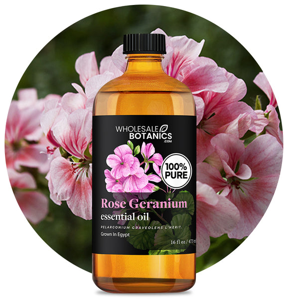 Rose Geranium Oil