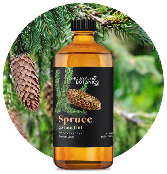 Spruce Essential Oil