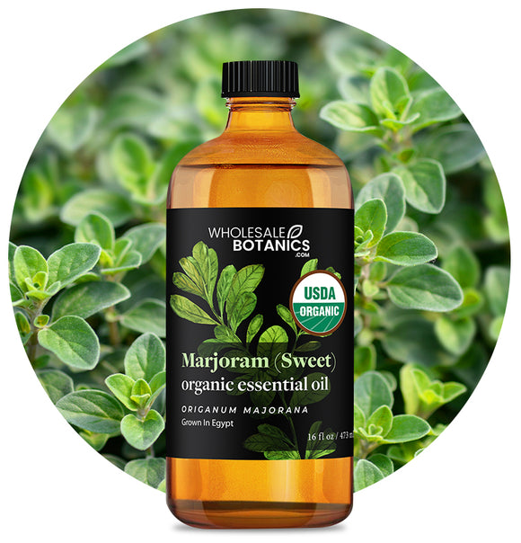 Organic Marjoram (Sweet) Essential Oil