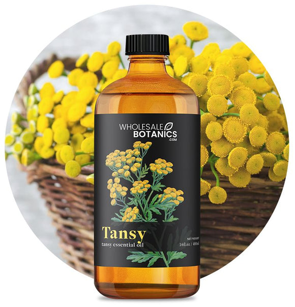 Tansy Essential Oil