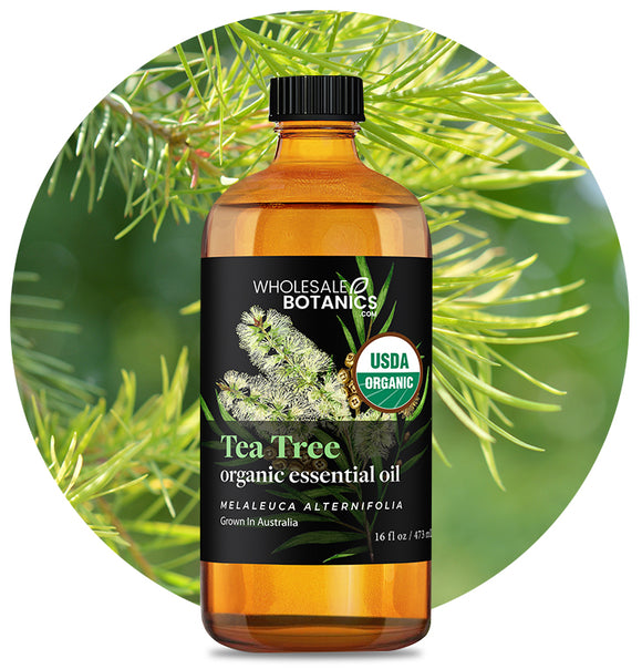 Organic Tea Tree Essential Oil