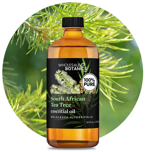 South African Tea Tree Oil