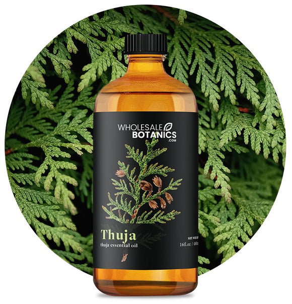 Thuja Essential Oil