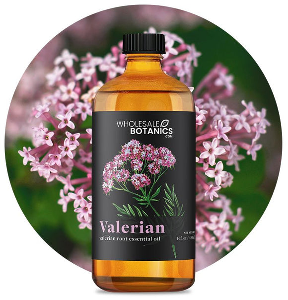 Valerian Essential Oil