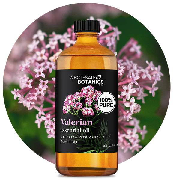 Valerian Oil