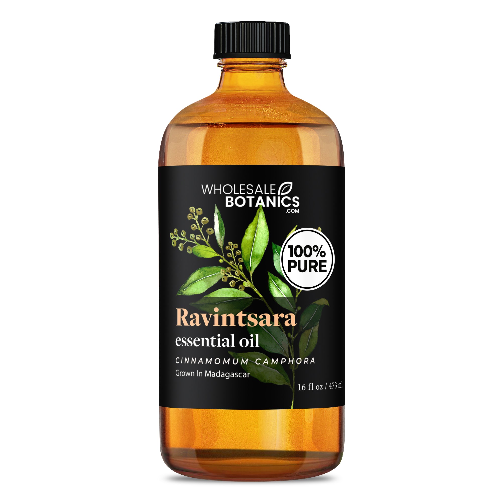 Baume Ravintsara Ravintsara Essential Oil — Wholesale Botanics