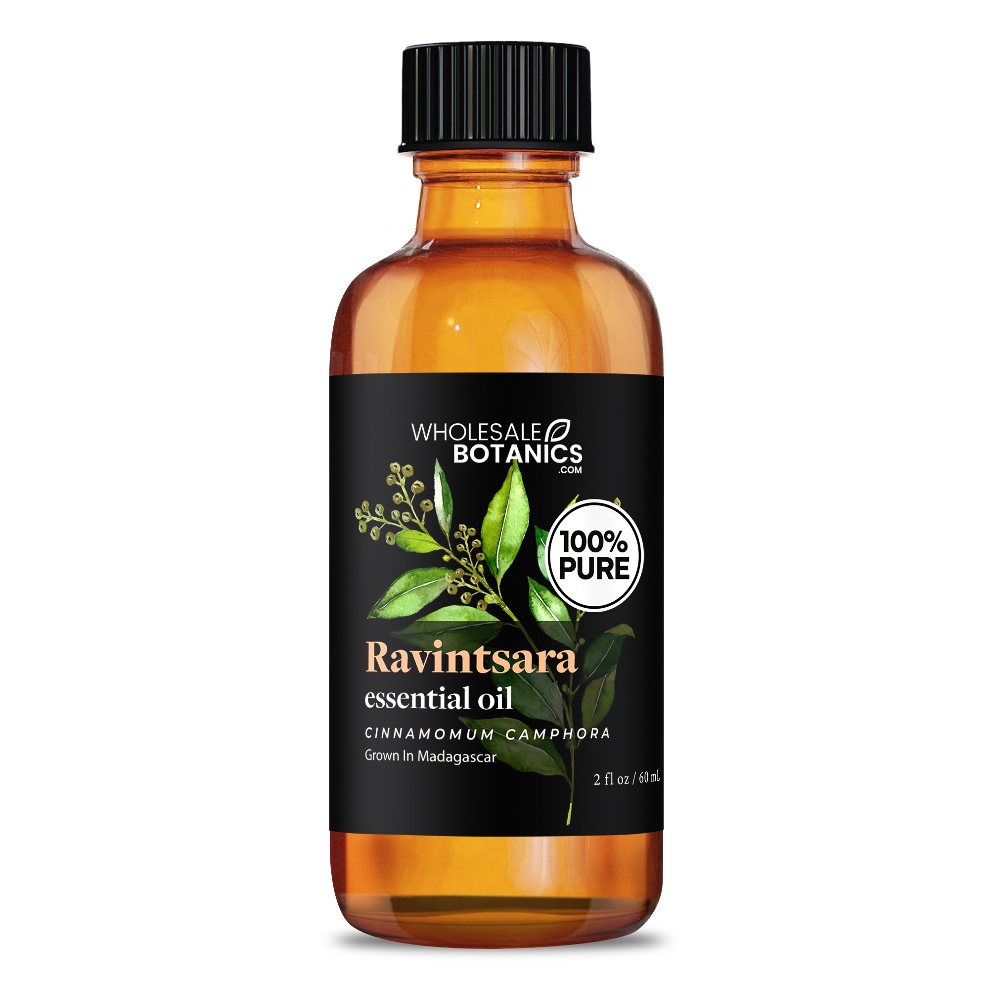 Ravintsara Ravintsara Essential Oil — Wholesale Botanics