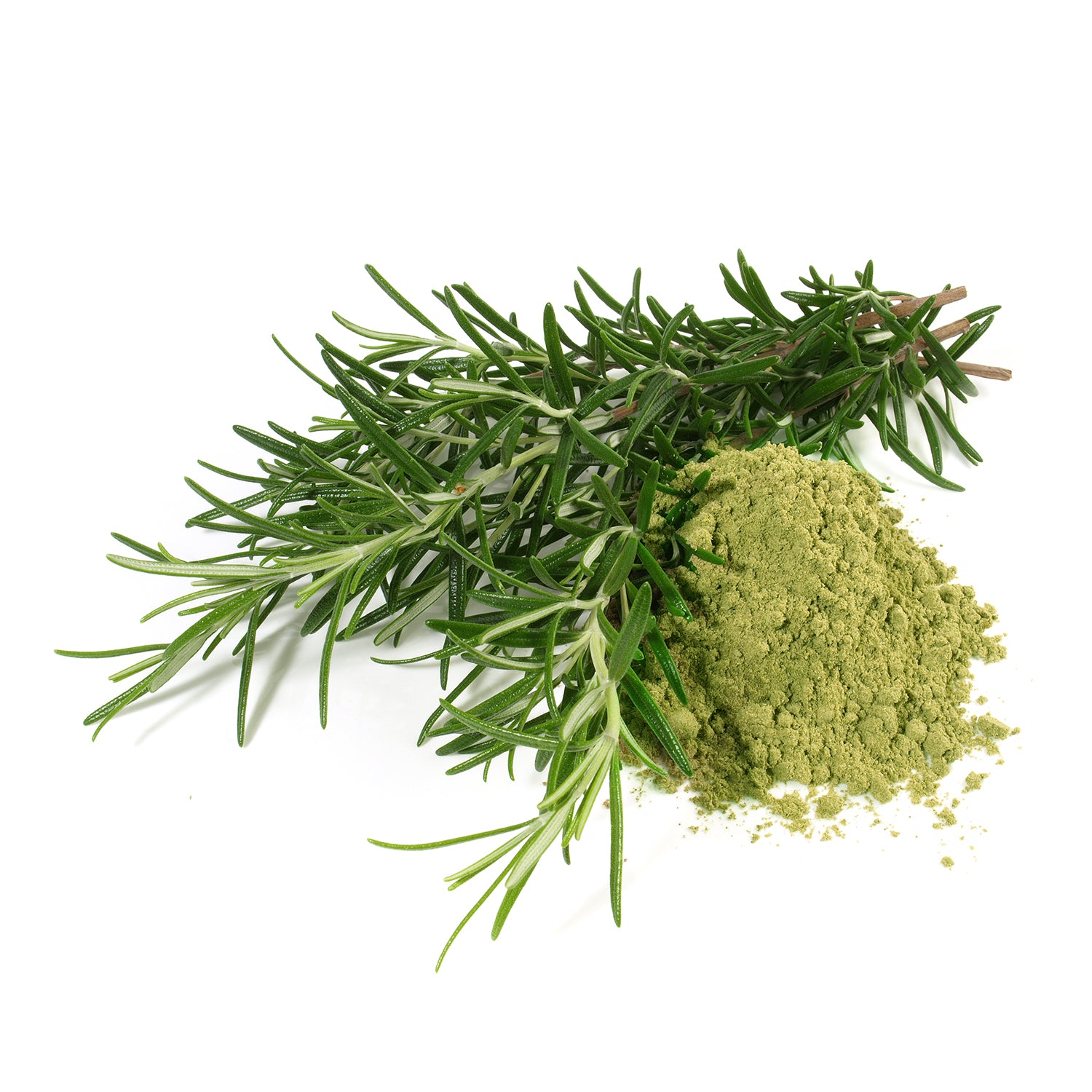 Rosemary Powder