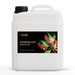 Sandalwood Essential Oil - Botanical