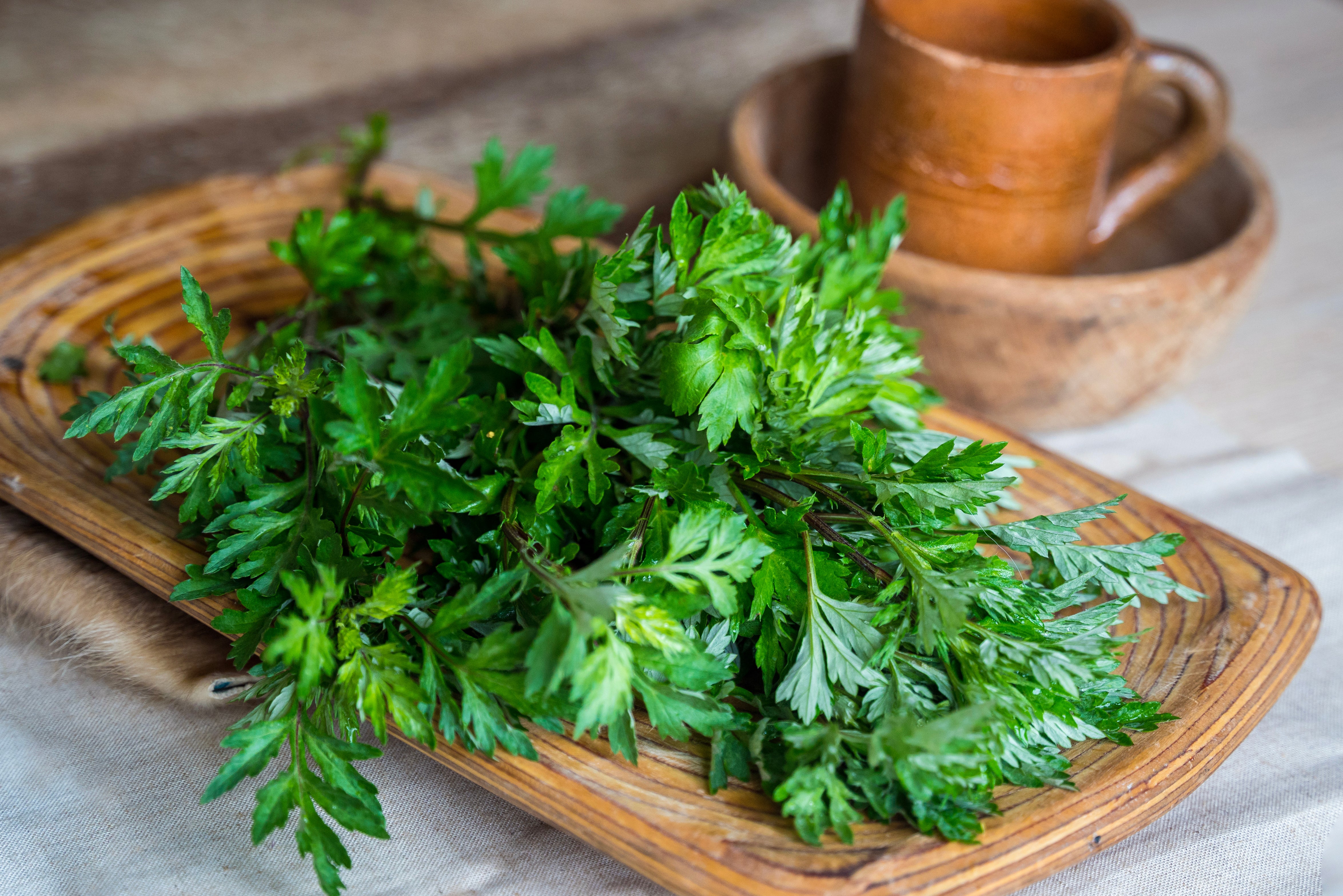 Mugwort Powder