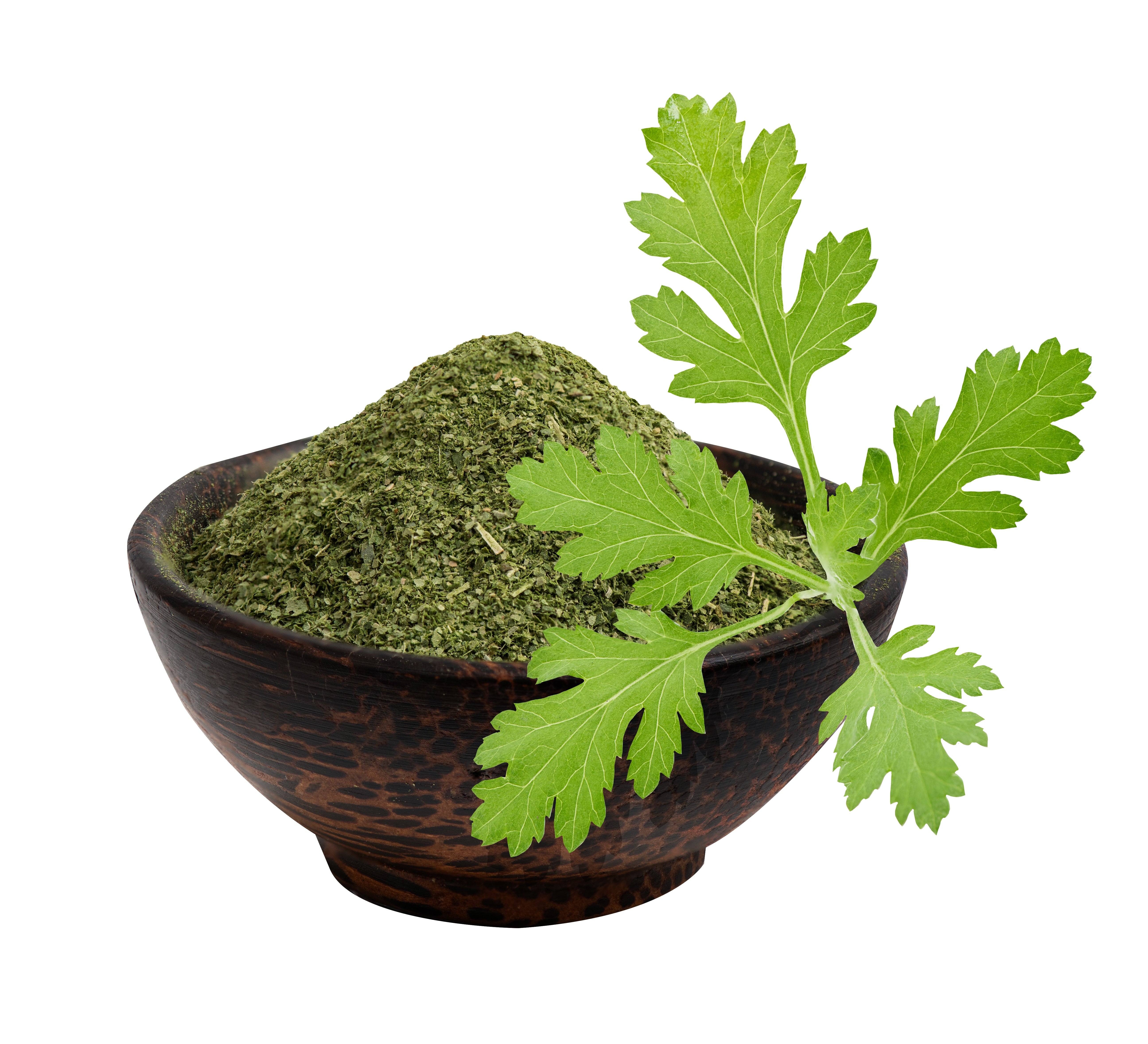 Mugwort Powder