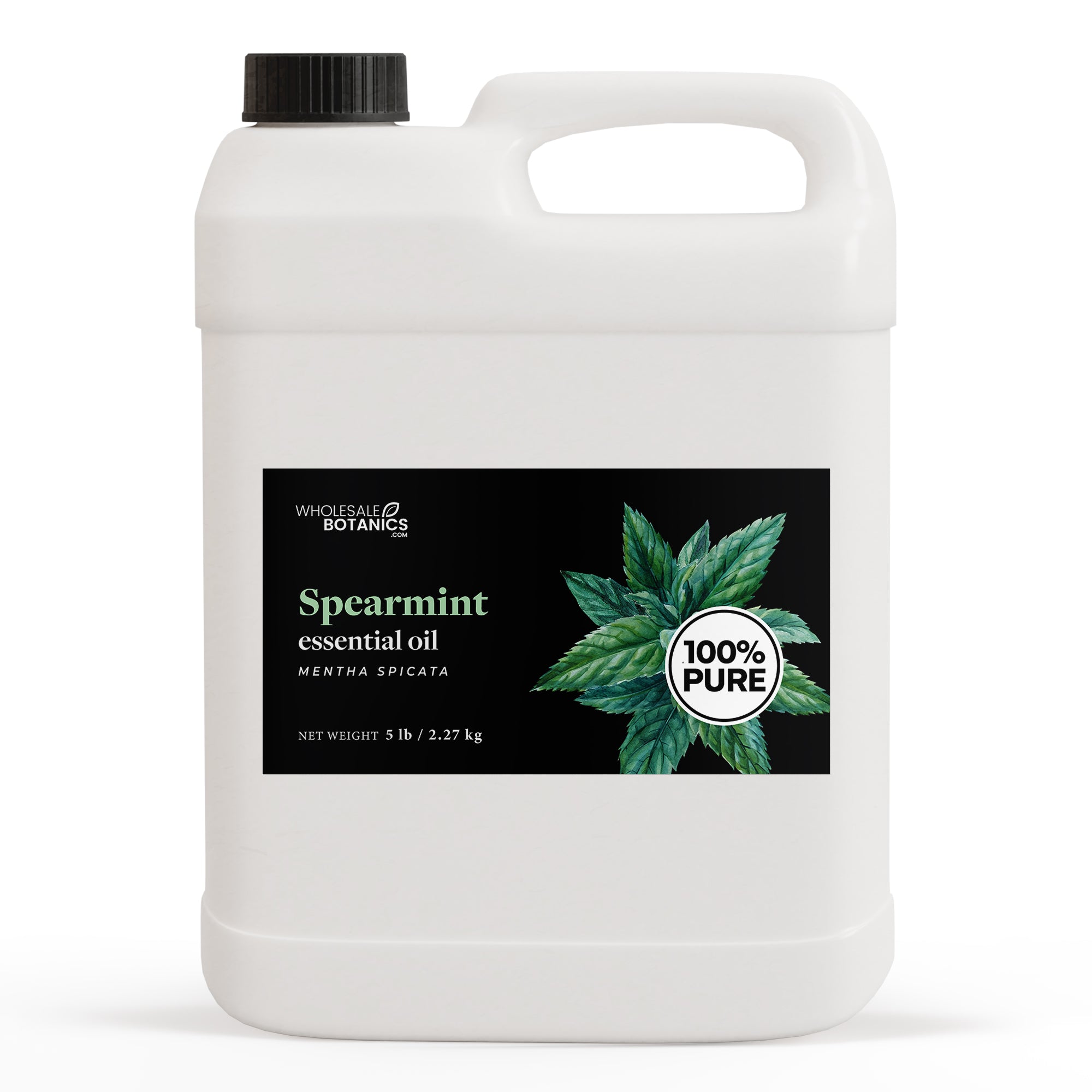 Spearmint Essential Oil