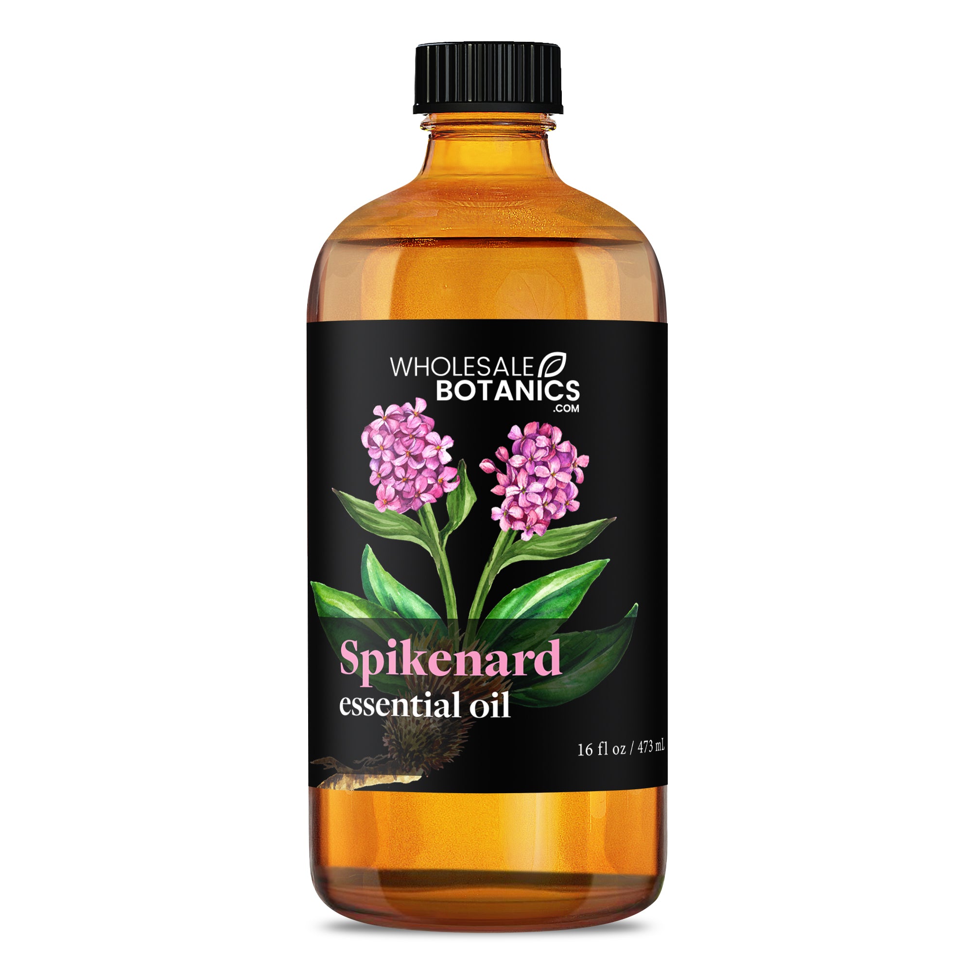 Spikenard Essential Oil - Botanical