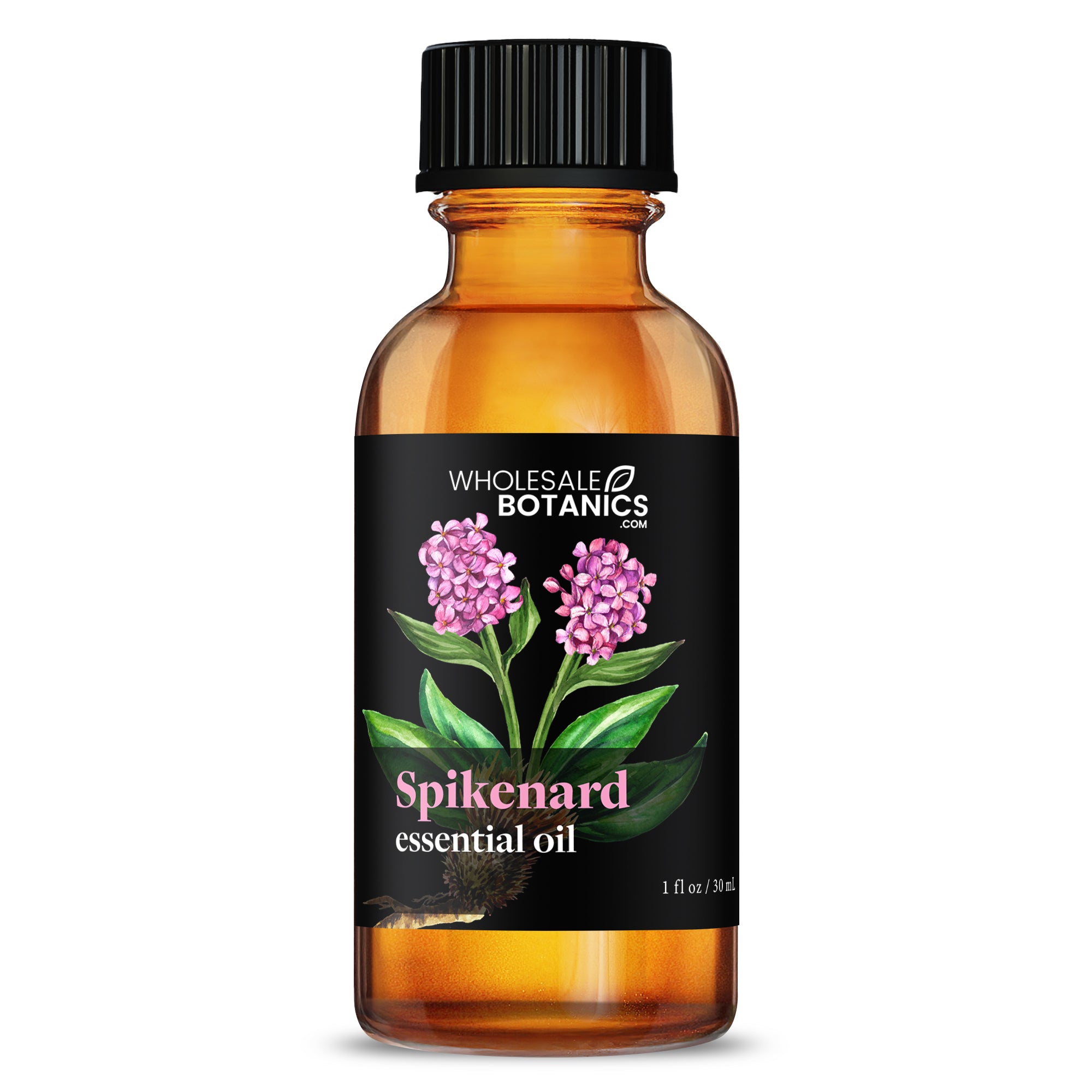 Spikenard Essential Oil - Botanical