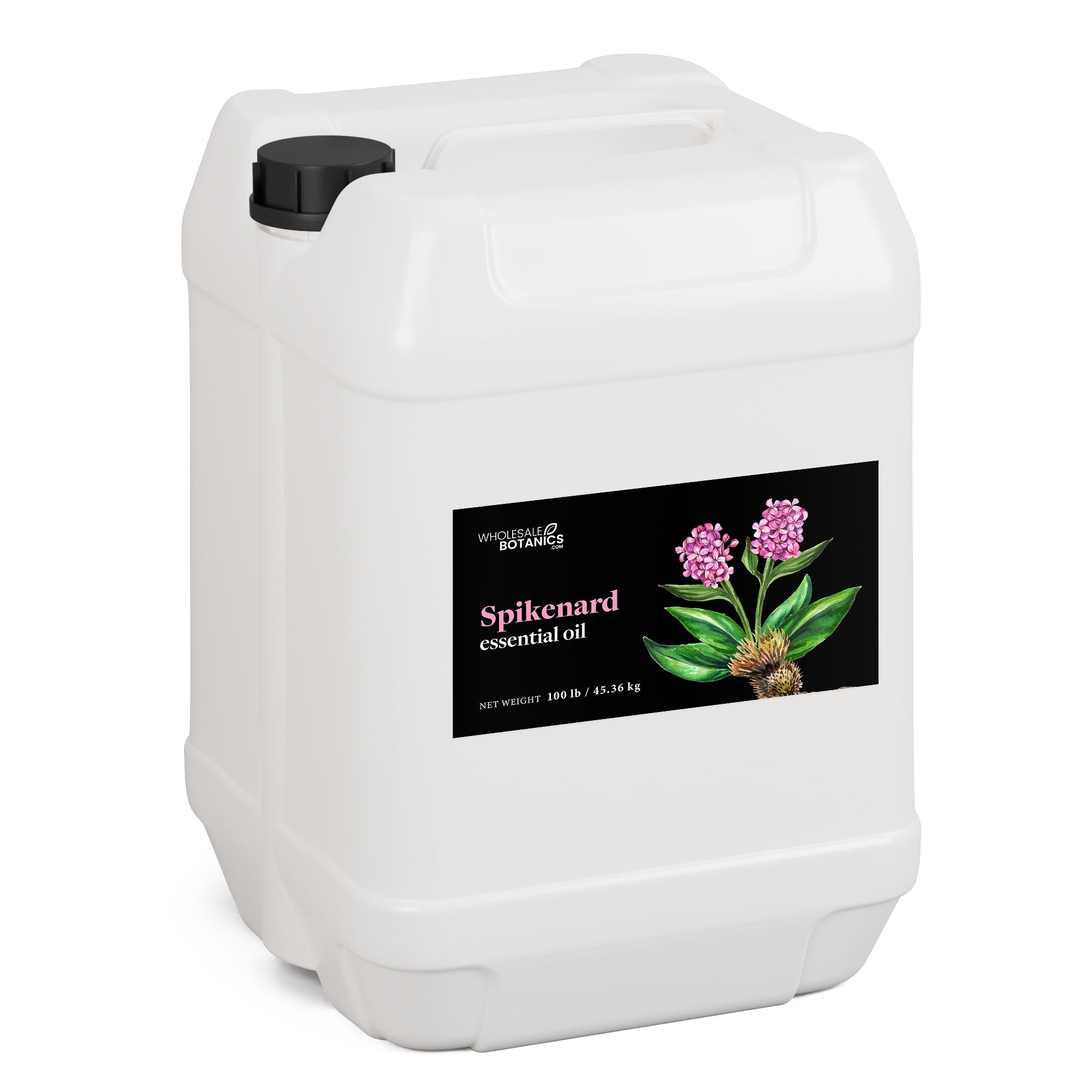 Spikenard Essential Oil - Botanical