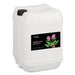 Spikenard Essential Oil - Botanical