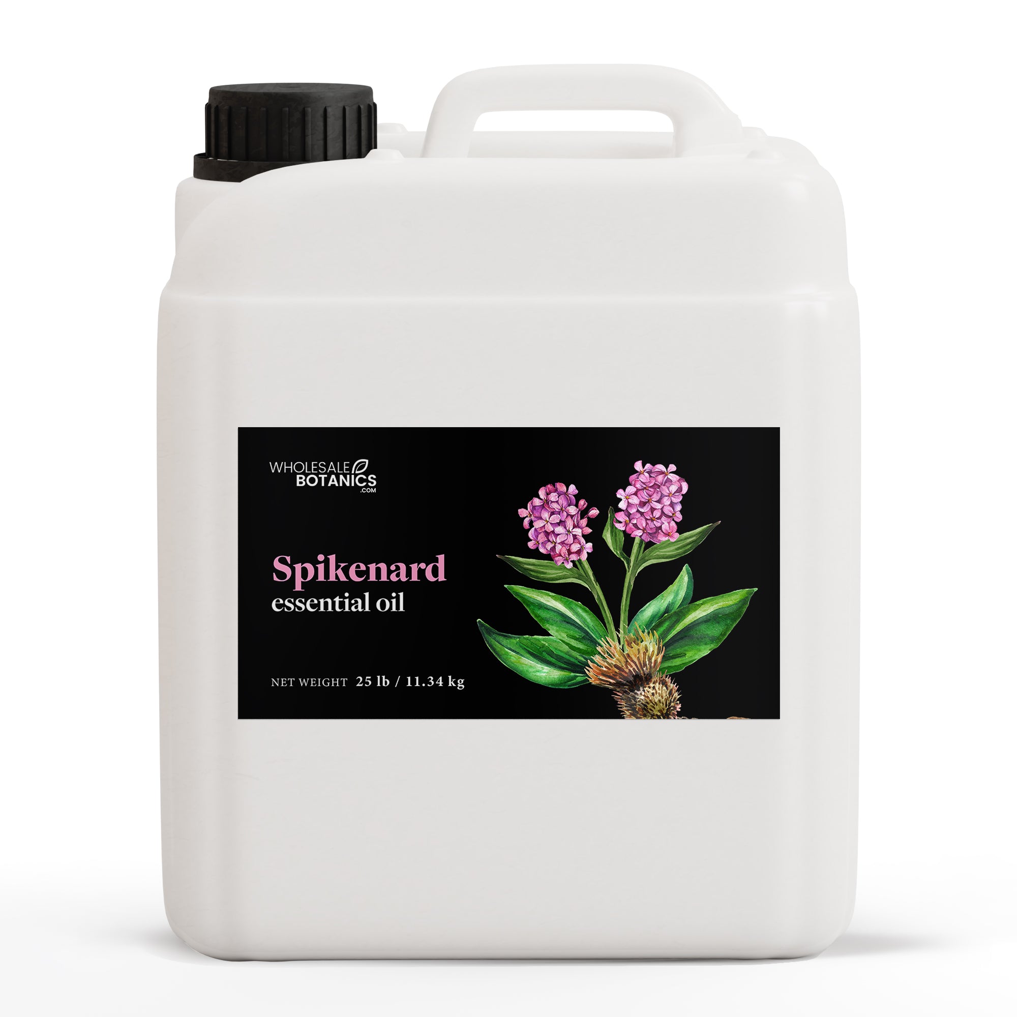 Spikenard Essential Oil - Botanical