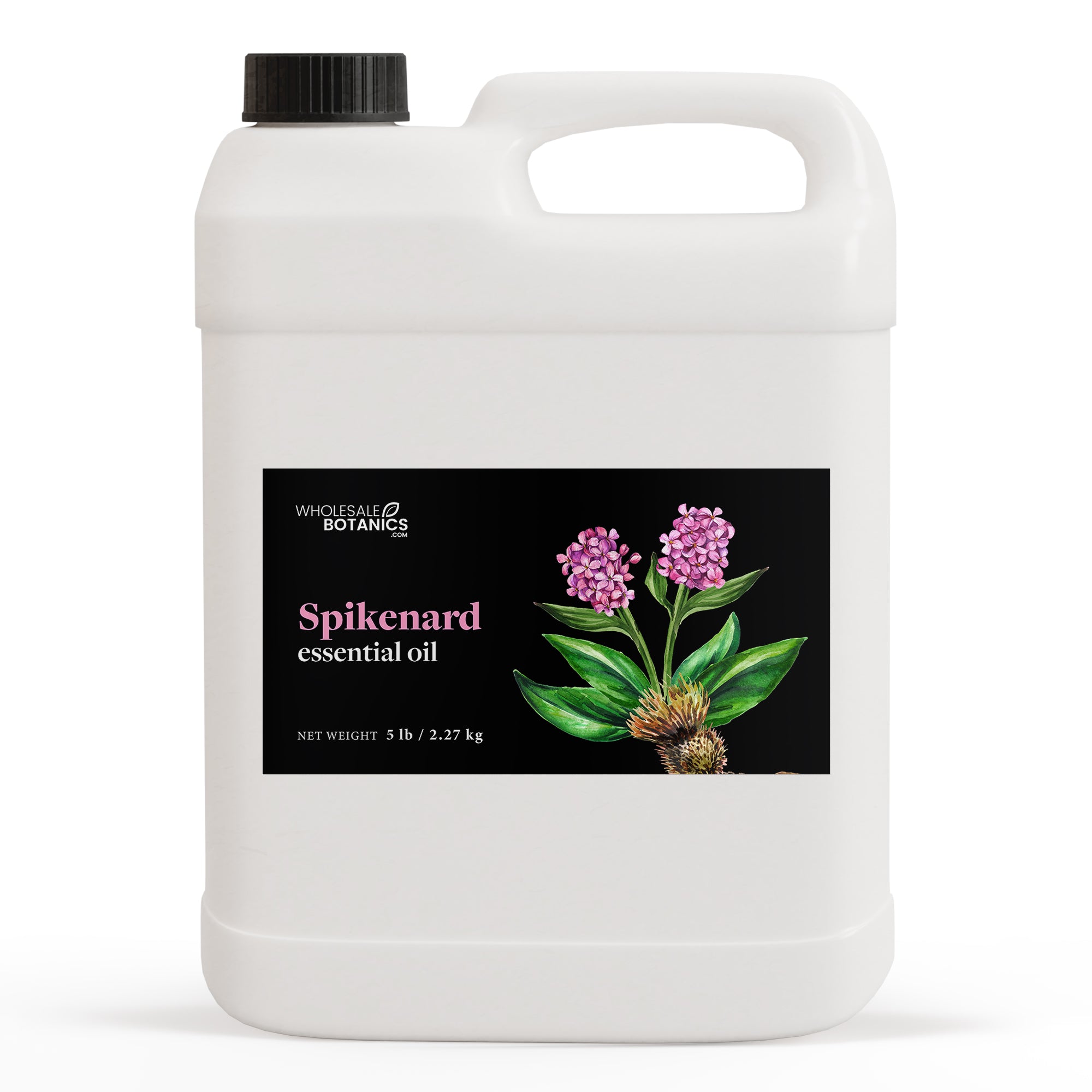 Spikenard Essential Oil - Botanical