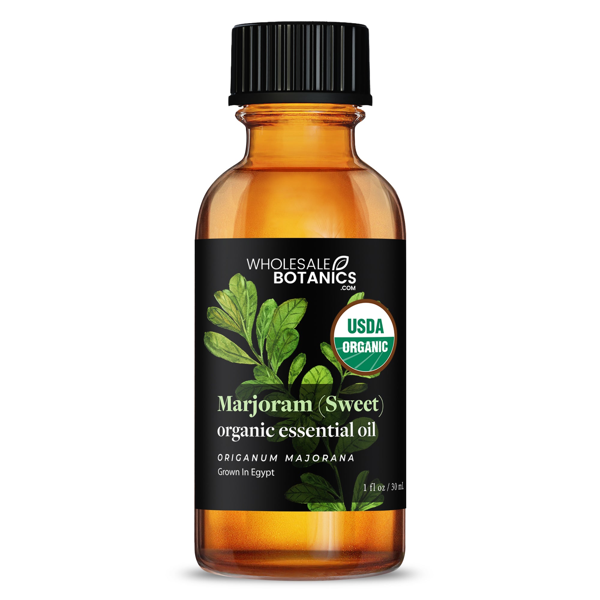 Organic Marjoram (Sweet) Essential Oil