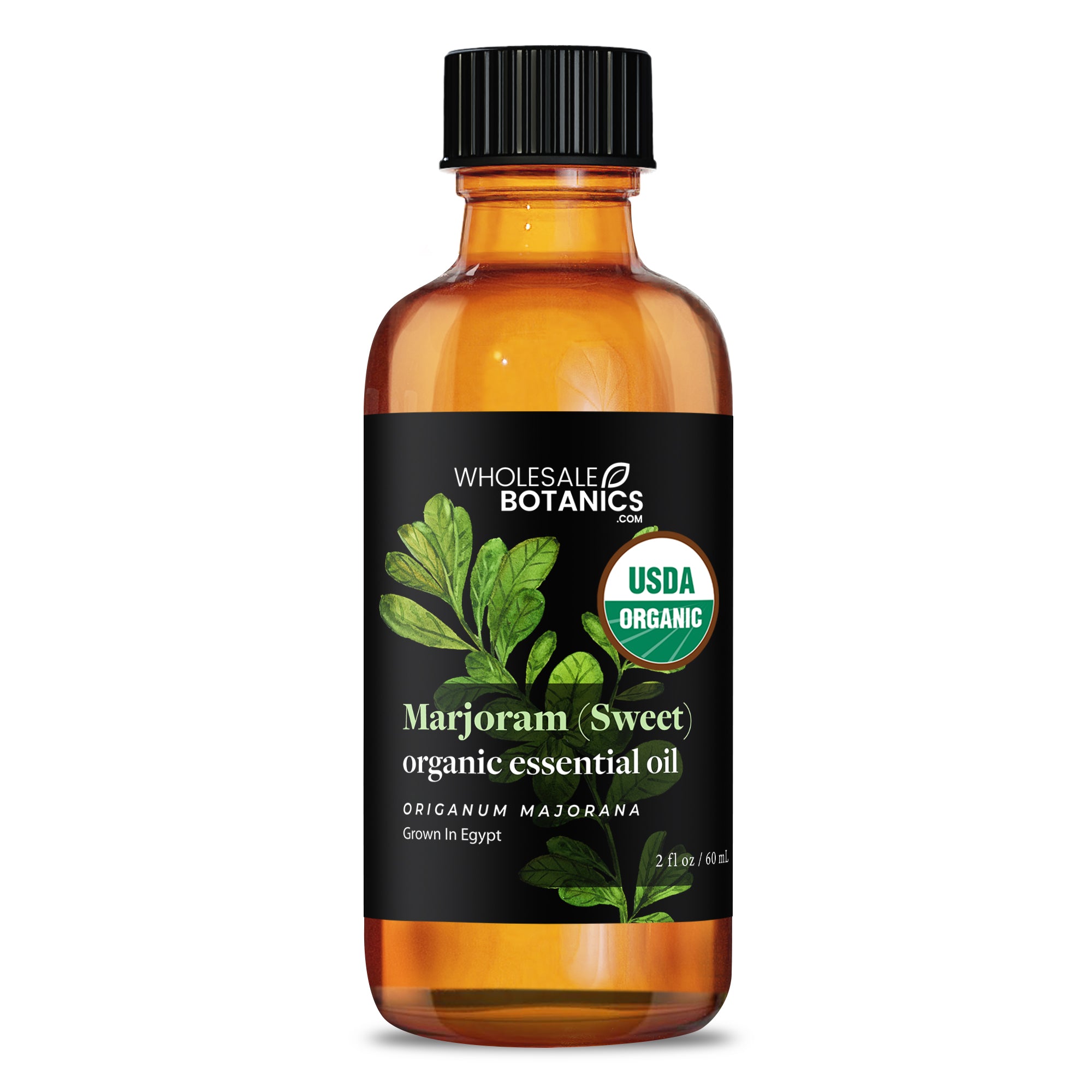 Organic Marjoram (Sweet) Essential Oil