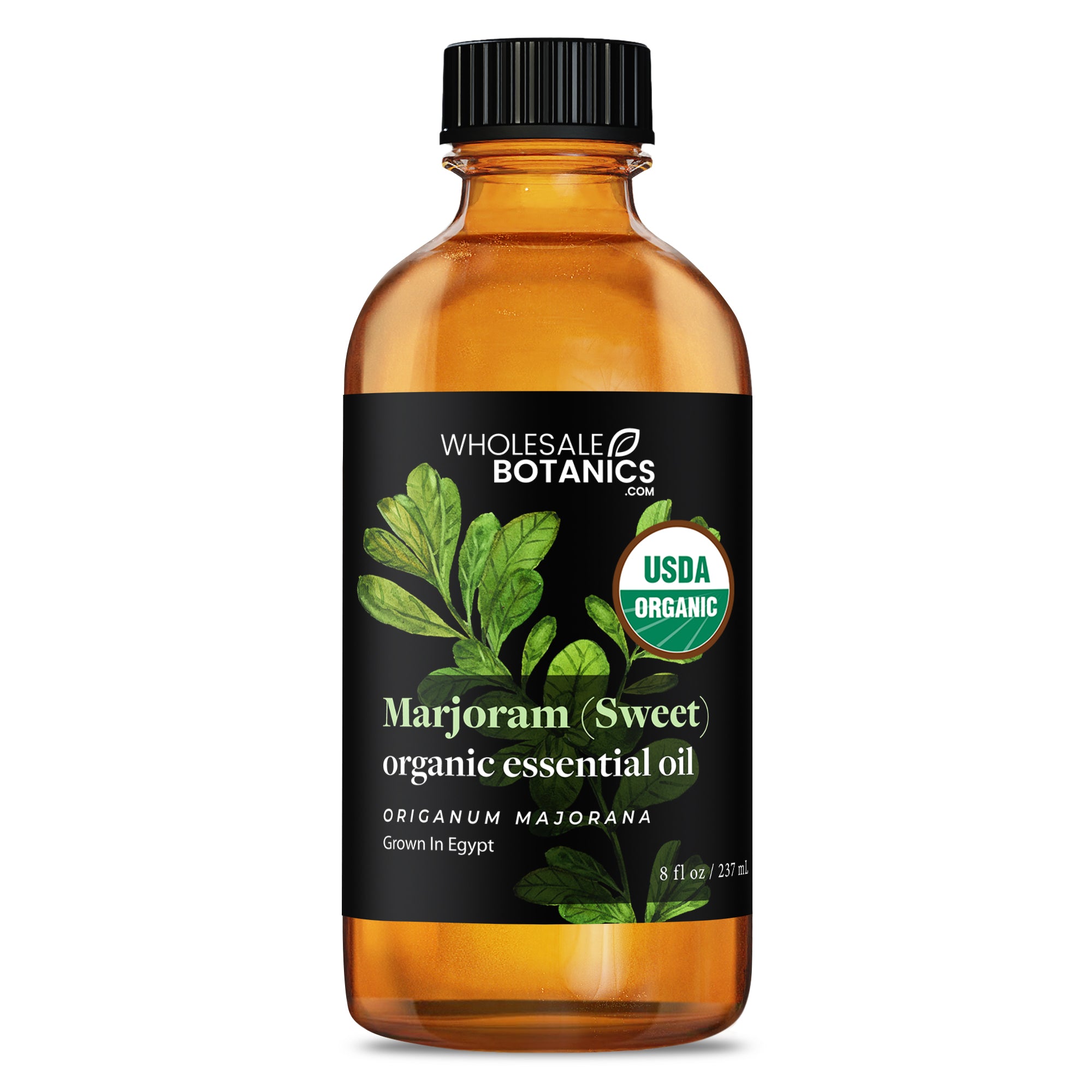 Organic Marjoram (Sweet) Essential Oil