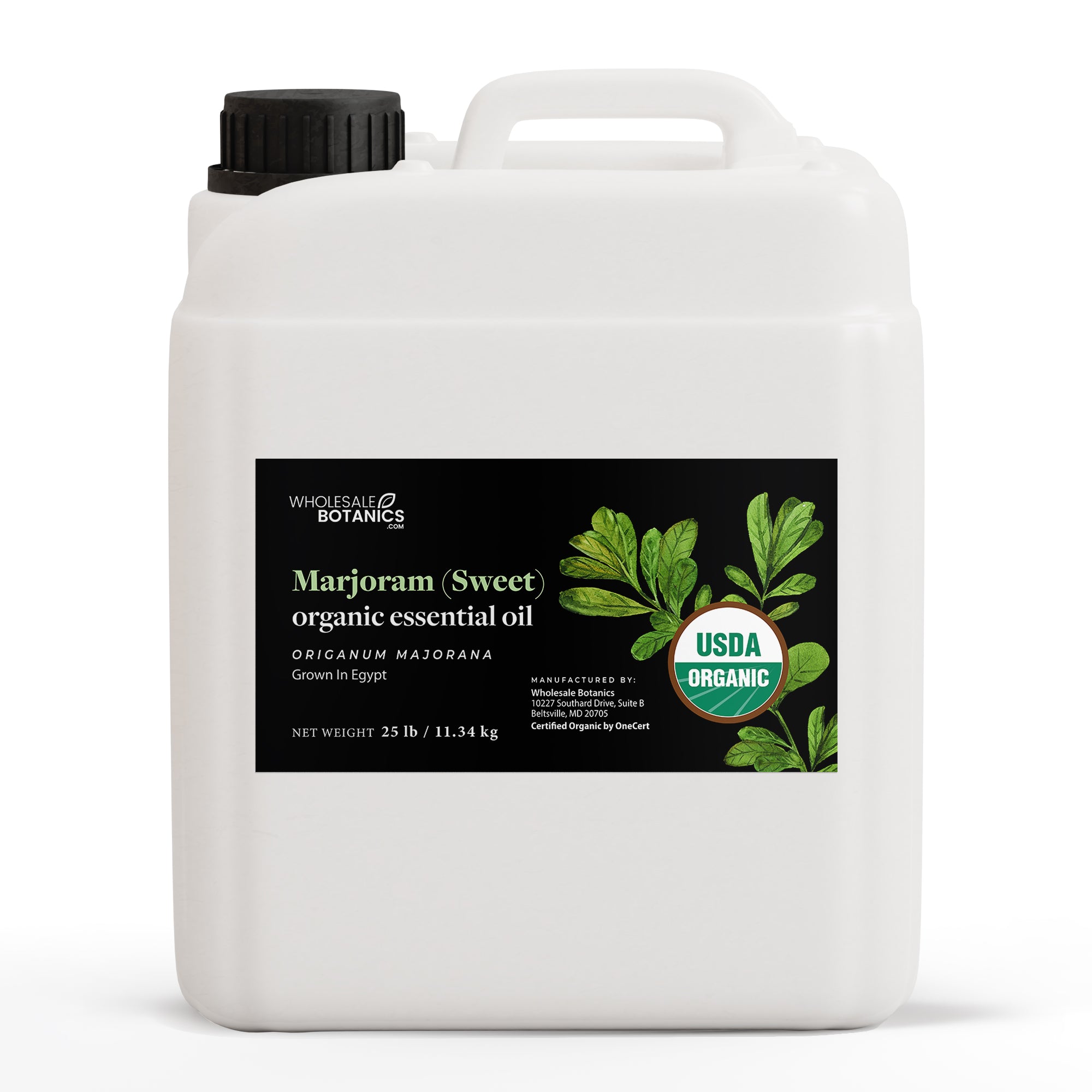 Organic Marjoram (Sweet) Essential Oil