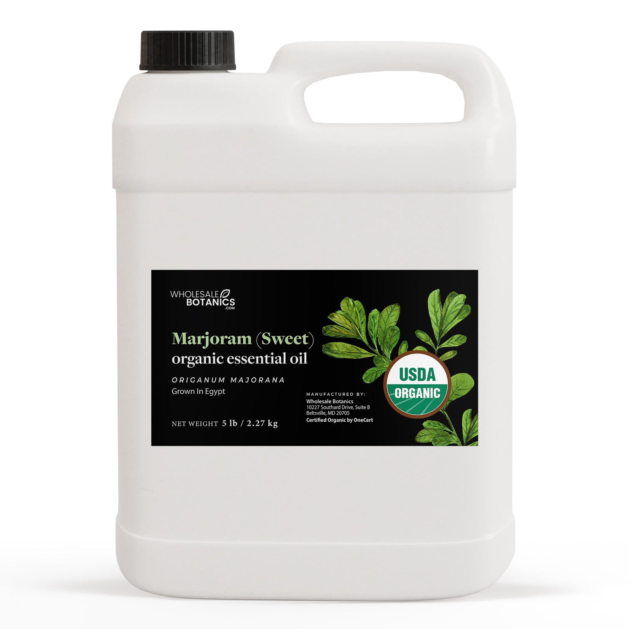 Organic Marjoram (Sweet) Essential Oil